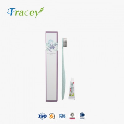 Wholesale Fashion Design dental kit OEM Small Toothbrush Head