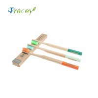 OEM rainbow bamboo toothbrush bamboo toothbrush with charcoal bristle